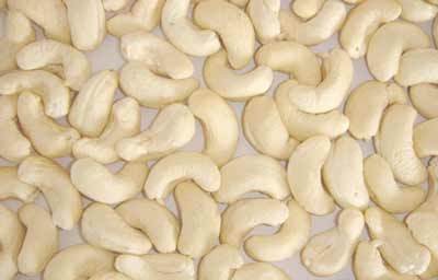 Indian Origin Cashew Nut Kernels