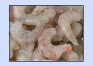 Pud Shrimps