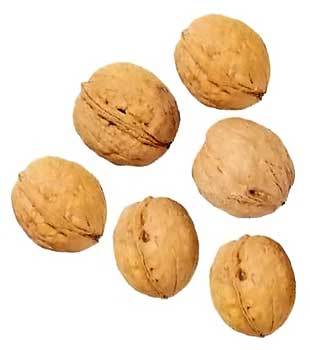 Type I Natural Walnuts