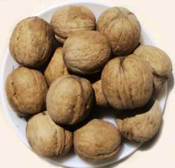 Walnuts