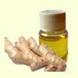 Fresh Ginger Oil