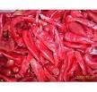 Frozen Red Pepper (Lal Mirch)