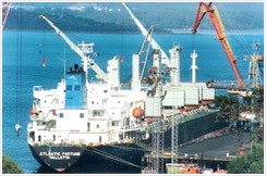 Chartering Service By BOXCO Logistics India Pvt. Ltd.