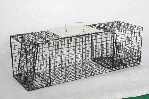 Various Colors Are Available Steel Body Live Animal Trap