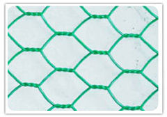 Green Colored Hexagonal Wire Mesh