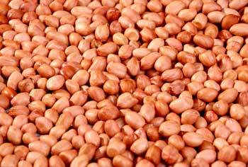High Nutritional Organic Peanuts