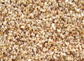 Nutritious Organic Sesame Seeds Purity: 100%