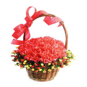 Handle Basket Carnations Decorated With Dries And Ribbon