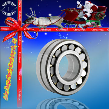 Double Row Cylindrical Roller Bearing