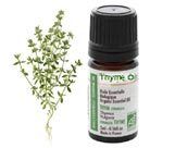 Pure Thyme Oil Used For Medicine