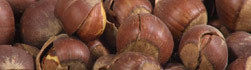 Roasted In Shell Hazelnuts