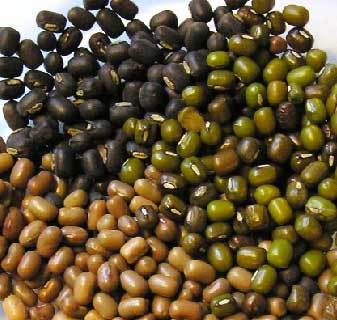 Urad Dal