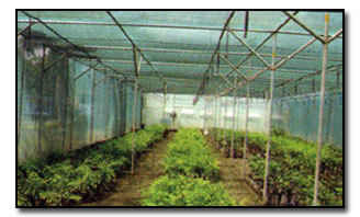 Agro Net Shed