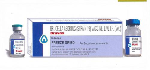  BRUVAX वैक्सीन