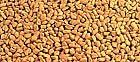 Fenugreek Seeds