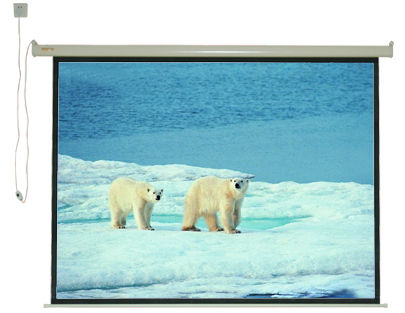 Electric Projector Screen - 180" Import Glass Beaded | Quiet Motorized Operation, Wireless Remote Control Option, High Gain Fabric for Vivid Clarity