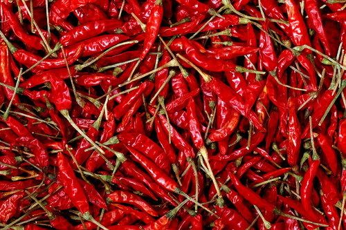 Red Chilli