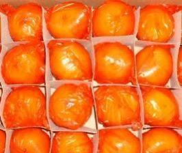 Fresh Ponkan Orange Fruits