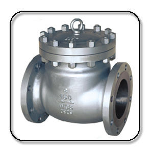 Low Temperature Swing Check Valve Application: Industrial