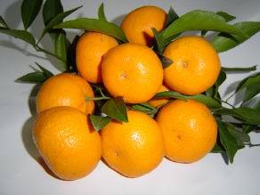 Yellow Sweet Honey Orange Fruits