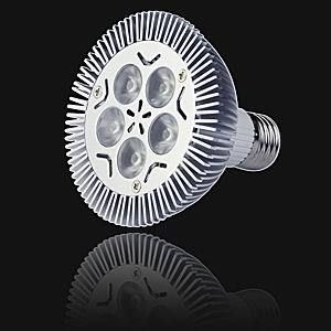 5W Led Par Light Application: Outdoor