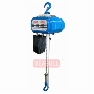 Longer Working Life Electric Hoist