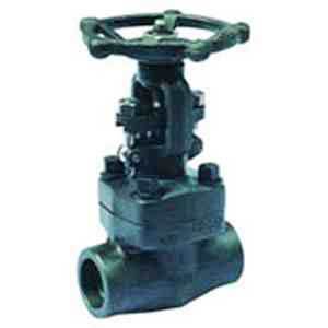 Forged Valve