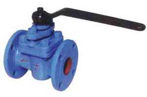 Plug Valve