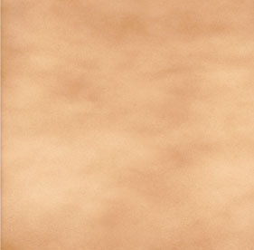 Tan Brown Floor Tiles