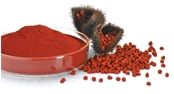 Annatto Extract