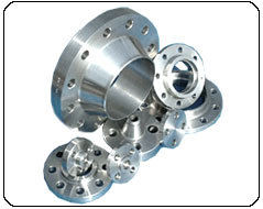 Stainless Steel Polished Flanges