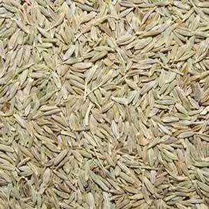 Cumin Seed