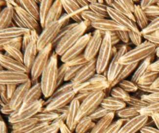 Brown Cumin Seed