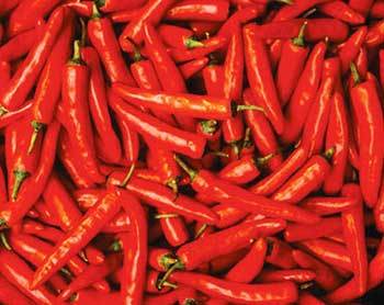 Dry Red Chilli