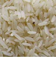  MSL चावल