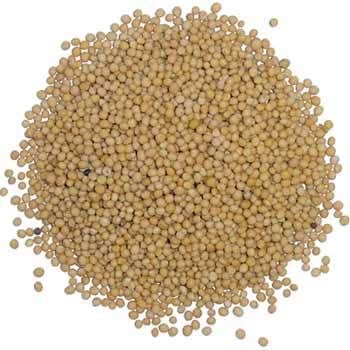 Piece Natural Dried Fenugreek Seeds