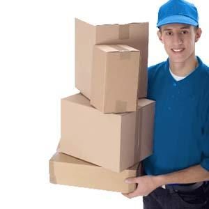 Domestic Parcel Services By D.D. Logistic