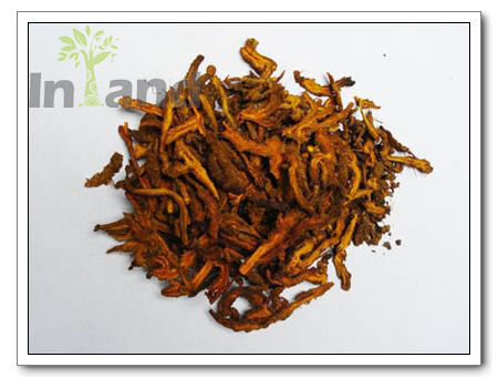 Rhizoma Coptidis Ingredients: Herbal Extract