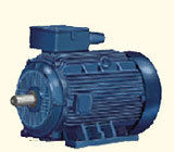 Crane And Heavy Duty Motors