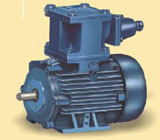 Flame Proof Electric Motors Phase: Single Phase