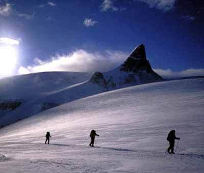 Mountaineering Tour Packages Service