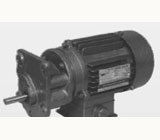 Standard Helical Geared Motors