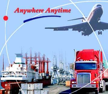 Break Bulk Cargo Handling By SKYLINE SHIPPING AND LOGISTICS PVT. LTD.