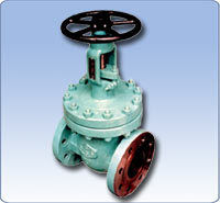 Cast Carbon Steel Gate Valves