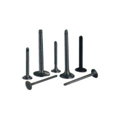 Stainless Steel Engine Valves