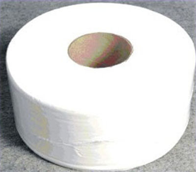 toilet paper rolls