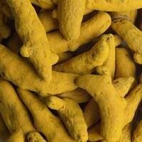 Turmeric