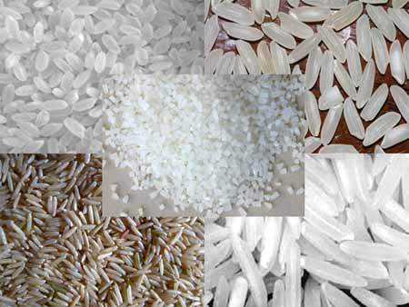 Indian Origin Rice Grain