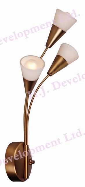 As Per Demand Triple Bulb Wall Lamp