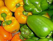 Oleoresin Capsicum